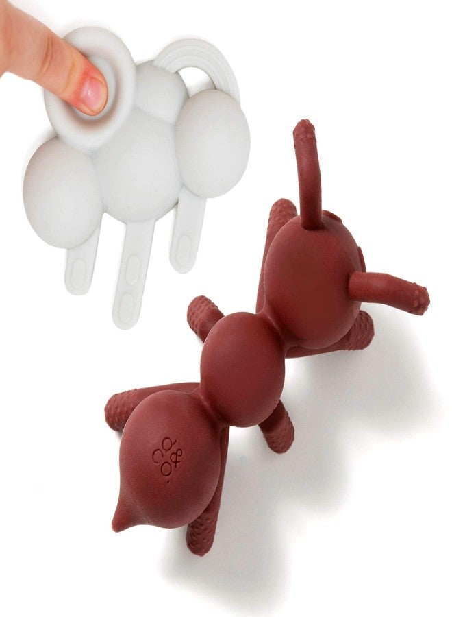 Doddle & Co. The Chew Teether with Poppable Bubbles | Toddler Teething Fidget Toy for Baby | Enhaces Oral Fit & Easy to Hold & Grab | Helps in Development for New Born Babies | Pack of 2 | Ant + Rain - Image 1